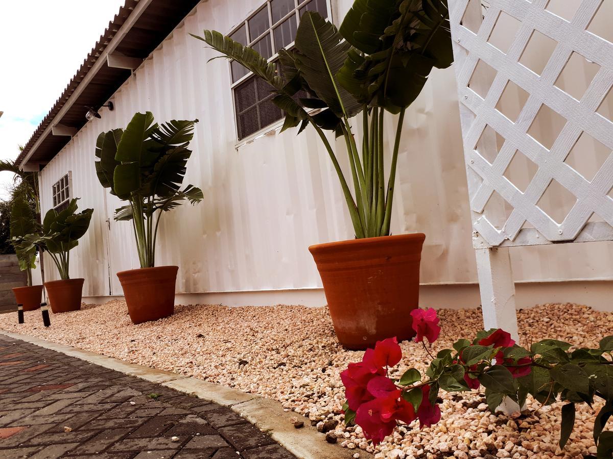 Palm Trees Apartments يلمستاد المظهر الخارجي الصورة