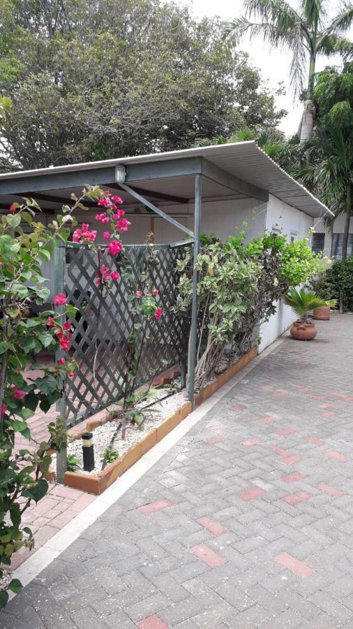 Palm Trees Apartments يلمستاد المظهر الخارجي الصورة